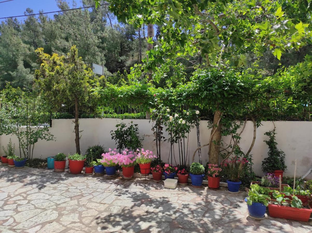 Casa Stella Apartment Агия Триас Екстериор снимка